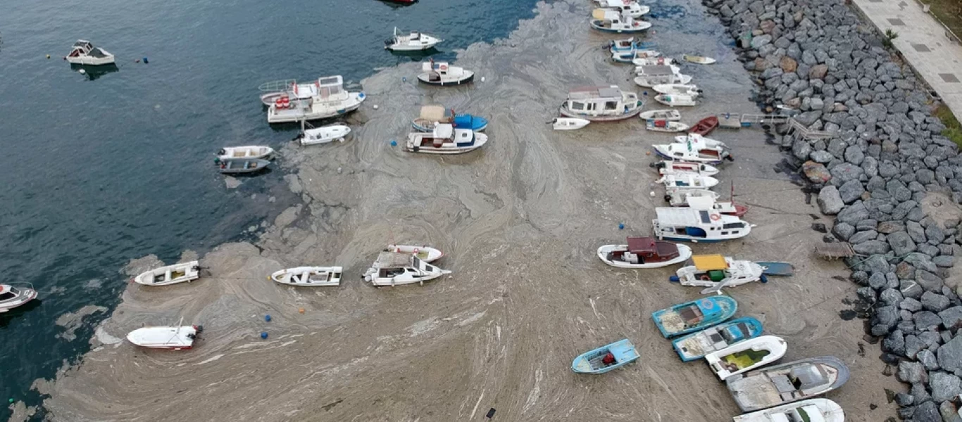 Ρ.Τ.Ερντογάν για τοξική γλίτσα: ​​​​​​​«Αν επεκταθεί στη Μαύρη Θάλασσα το πρόβλημα θα είναι τεράστιο» (βίντεο)